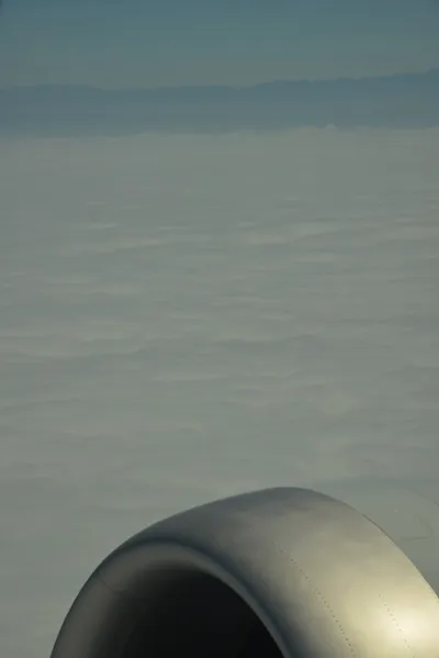 DSC_3175 (Large).JPG